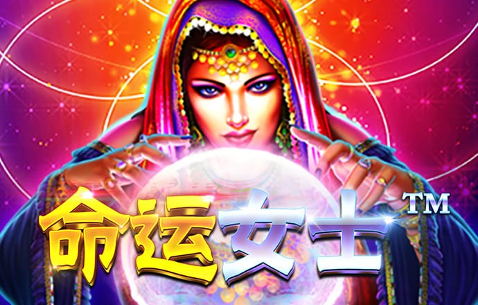 特技巡演
